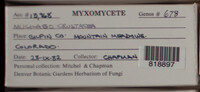 Image Associated With the Occurence
